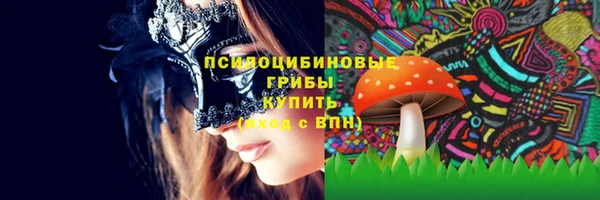 ПСИЛОЦИБИНОВЫЕ ГРИБЫ Переславль-Залесский