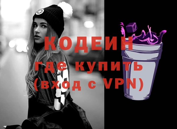 дживик Пестово