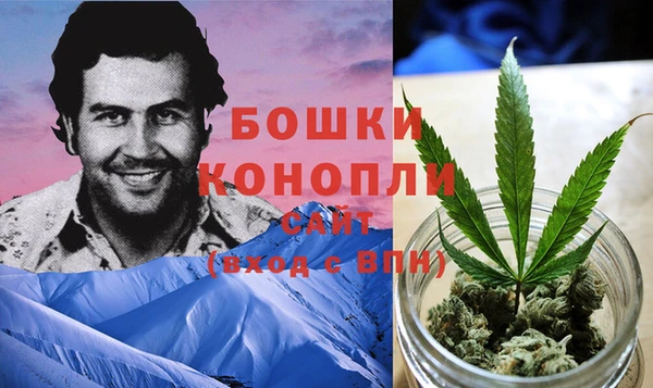 ПСИЛОЦИБИНОВЫЕ ГРИБЫ Переславль-Залесский