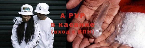 ПСИЛОЦИБИНОВЫЕ ГРИБЫ Переславль-Залесский