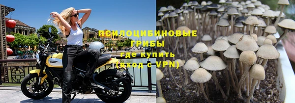 ПСИЛОЦИБИНОВЫЕ ГРИБЫ Переславль-Залесский