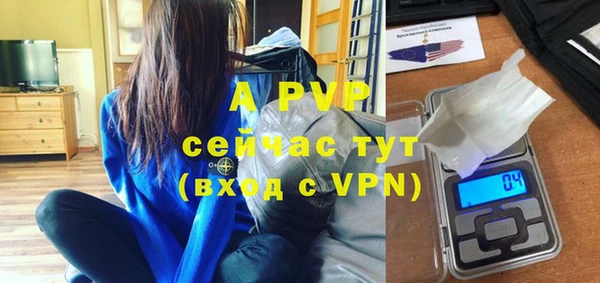 ПСИЛОЦИБИНОВЫЕ ГРИБЫ Переславль-Залесский