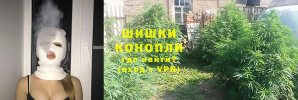дживик Пестово