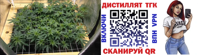 blacksprut зеркало  Баймак  Дистиллят ТГК THC oil 