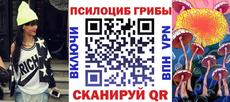 наркошоп  Баймак  Псилоцибиновые грибы Psilocybe 